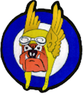 355th Fighter Squadron